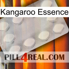 Kangaroo Essence 16